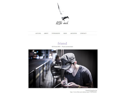 Little Auk theme web design wordpress