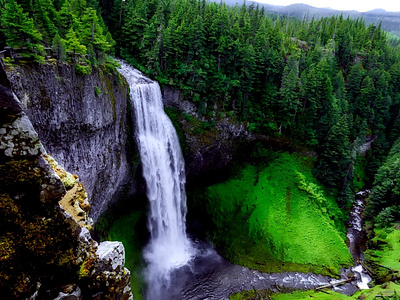 Water Fall in Greenery