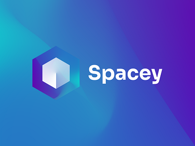 Spacey Logo and Branding