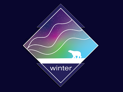 Winter - Northern Lights branding design graphic design illustration logo procreate raster typography ui vector