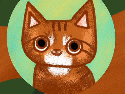 Bruno cat illustration pets procreate