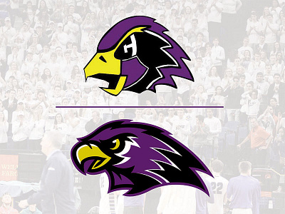 Chaska Hawks Logo Redesign design hawk illustration logo logodesign redesign sports