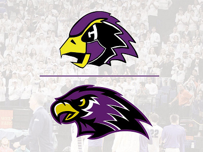 Chaska Hawks Logo Redesign