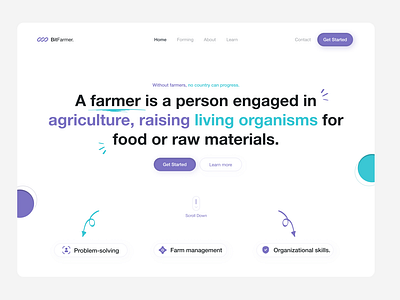 BitFarmer - Website.