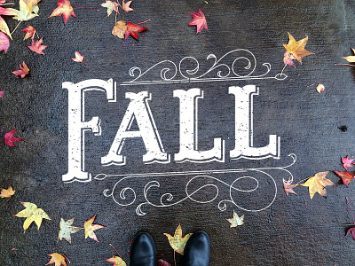 My First Fall