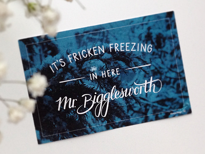 Mr. Bigglesworth lettering linoxchnge postcard script seattle snow