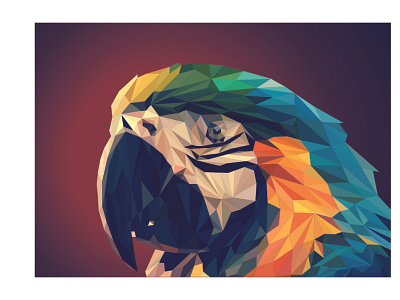 Parrot 3d adobe illustrator branding design graphic design illustration logo logo design ui vector