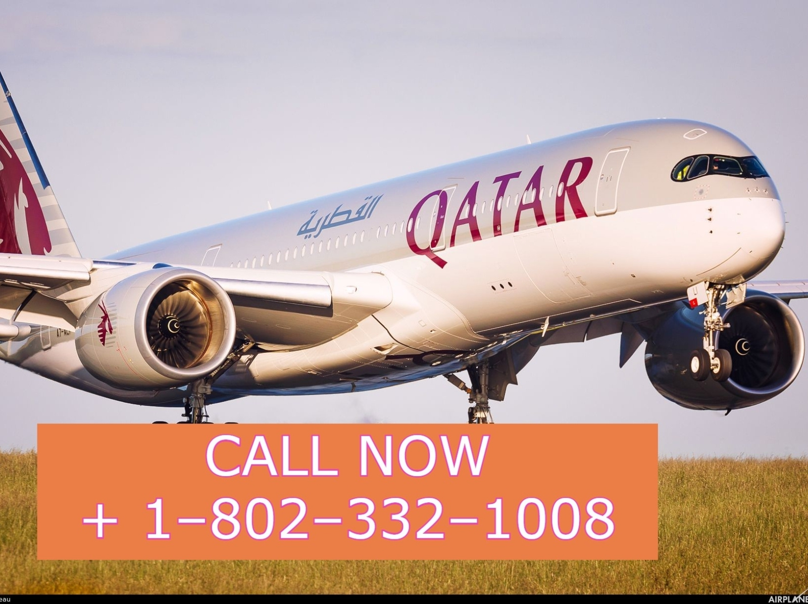 QATAR AIRWYS PETS POLICY AND BOOKING PROCESS. by JUSTIN ALEX on Dribbble