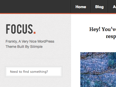 Focus WordPress Theme minimalist responsive theme wordpress