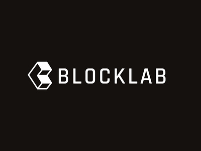 BlockLab's Project Logo Testing Out