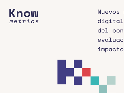 Knowmetrics Brand brand logo