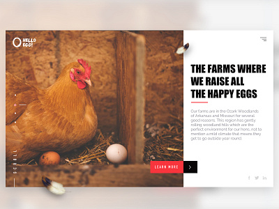 Hello Egg blog egg hello homepage landingpage layout minimalist modern poultry website