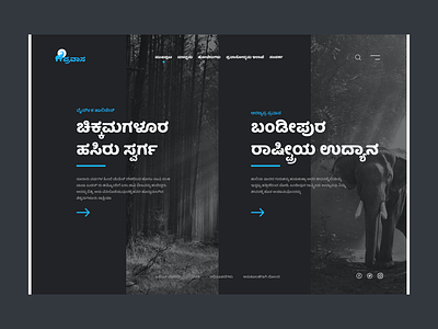 Pravaasa Kannada Tourism Landing Page baloo tamma block layout design ektype homepage design kannada kannada font landing page practice rebound tourism typography ui visual design webdesign website
