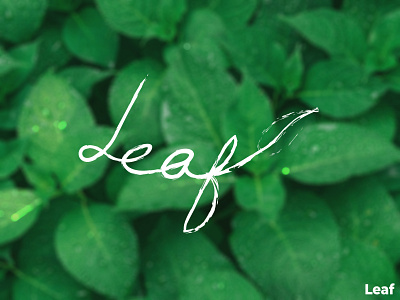 Leaf  : Single line Calligraphy