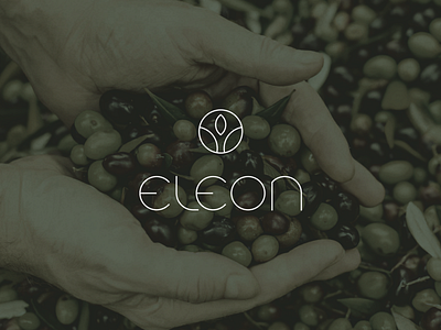 Logo design - Eleon extra virgin olive oil branding corporate identity design graphic design greece illustration larisa logo vector