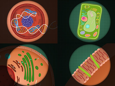 Microscopic biology cell illustrations