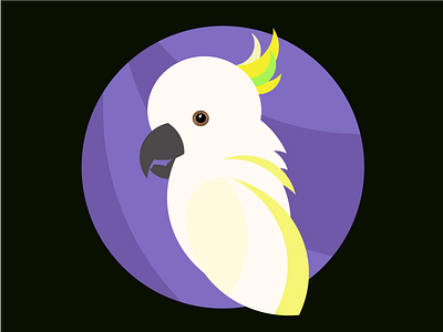 Golden Ratio - Cantankerous Cockatoo