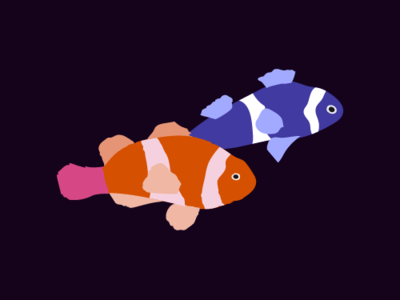 Clownfish illustration