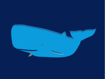 Blue Whale illustration