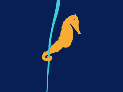 Sea Horse illustration
