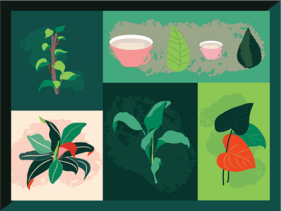 Water Your Plants illustration