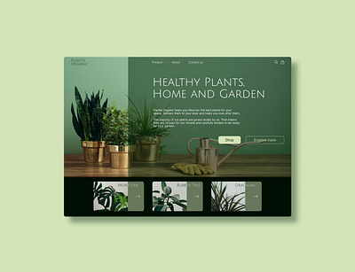 Plantie organic design flowers green interface plants ui uidesign uidesigner uitrendes uiux userexperience userinterface ux uxdesign uxdesigner webdesigner website