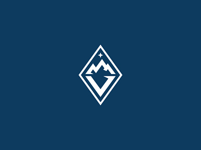 Vertex Education - Secondary branding logo mountain mountians navy serif