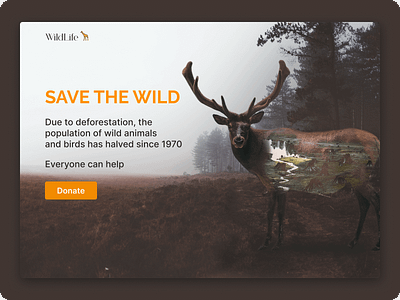 Collage art Save the Wild design illustration ui