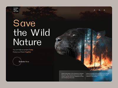 Save the Wild