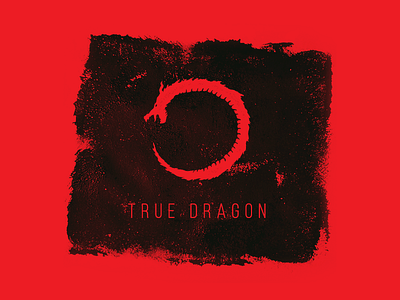 TD 2 beer dragon illustration logo