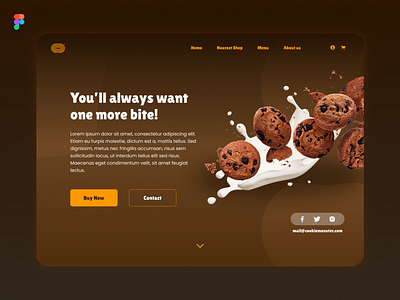 Cookies Landing Page UI