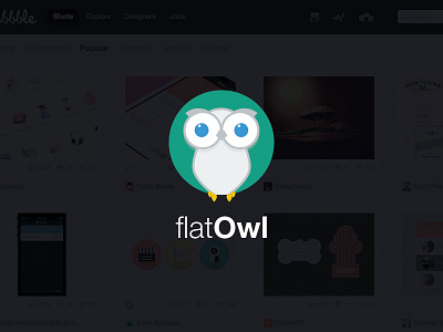 Flt-owl