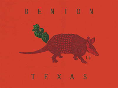 Denton Texas armadillo cactus denton illustration retro texas texture