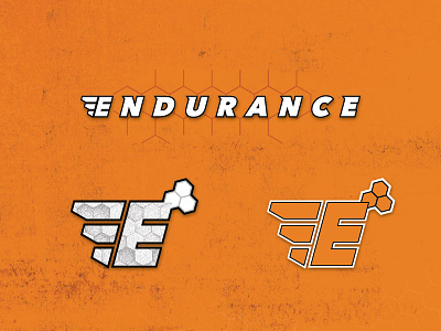 Endurance Logo chemistry endurance hexagon logo technology track trackfield