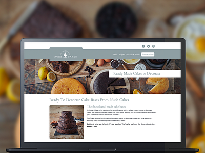 Nude Cakes css project management ui ux web design