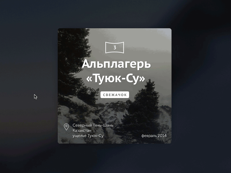 Tuyk-Su web tile animated framer web