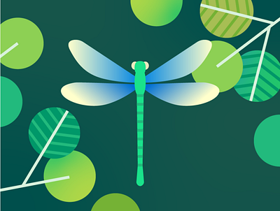 dragonfly bug dragonfly forest green insect leaf leaves nature plants wing