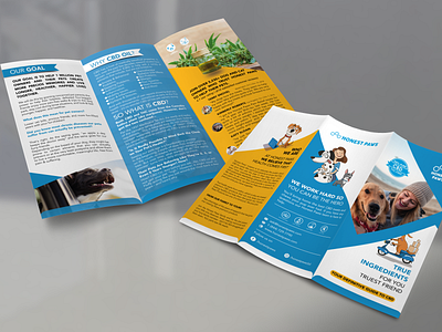 Double side tri-fold brochure design brochsure design graphic design illustration illustrator logo design photoshop tri fold web design