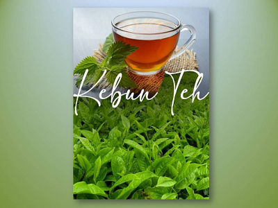 Kebun Teh poster design drink food and beverage garden graphic design illustration infographic kebuh teh logo poster tea garden teh vector