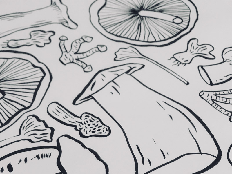 Fungidoodle valencia market mushrooms hand drawn illustrator illustration