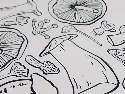 Fungidoodle hand drawn illustration illustrator mushrooms valencia market