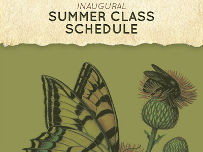 ASDM Art Institute Summer Classes Schedule