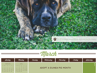 Humane Society of Souther Arizona 2014 Calendar - March Detail calendar dogs