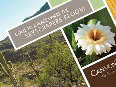 Direct Mail for Canyon Ranch spa