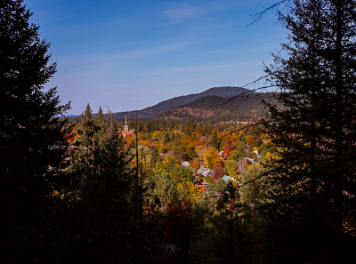 fall strollin' photography