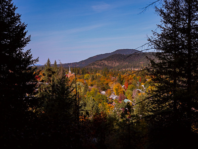 fall strollin'