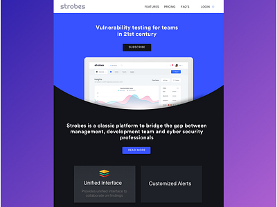 Strobes website design data design hacker vulnerability web