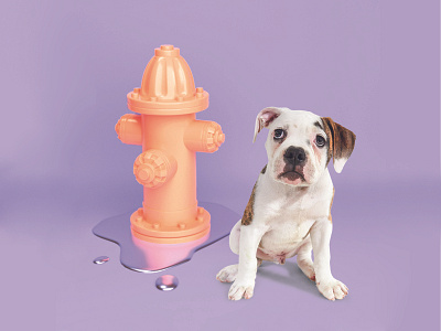 Dog Calendar 2020 3d 3d design calendar design dog dogs fire hydrant graphic design illustration