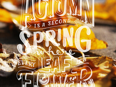 Autumn Quote for Over App autumn fall over app overlay photography