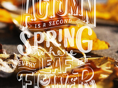Autumn Quote for Over App